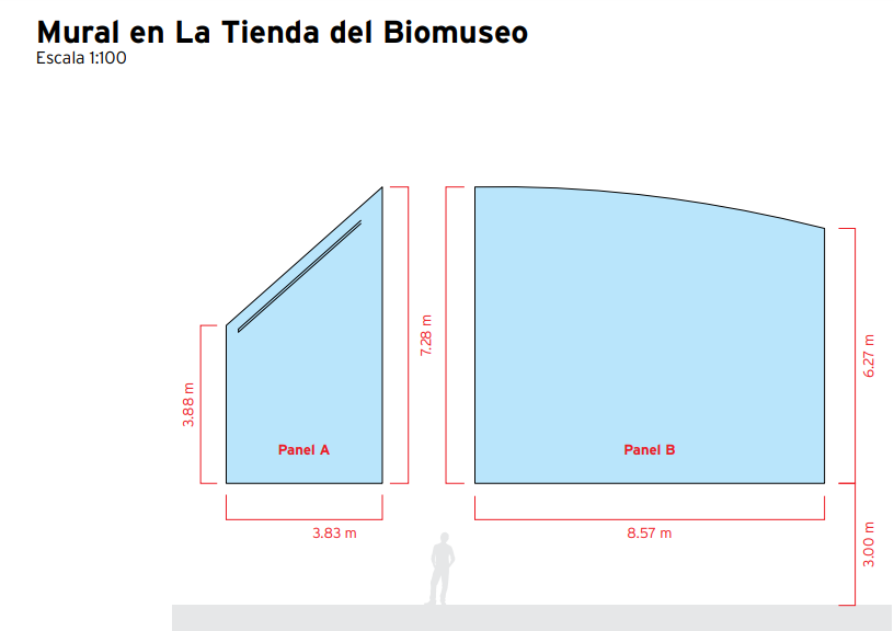 Dimensiones del Mural