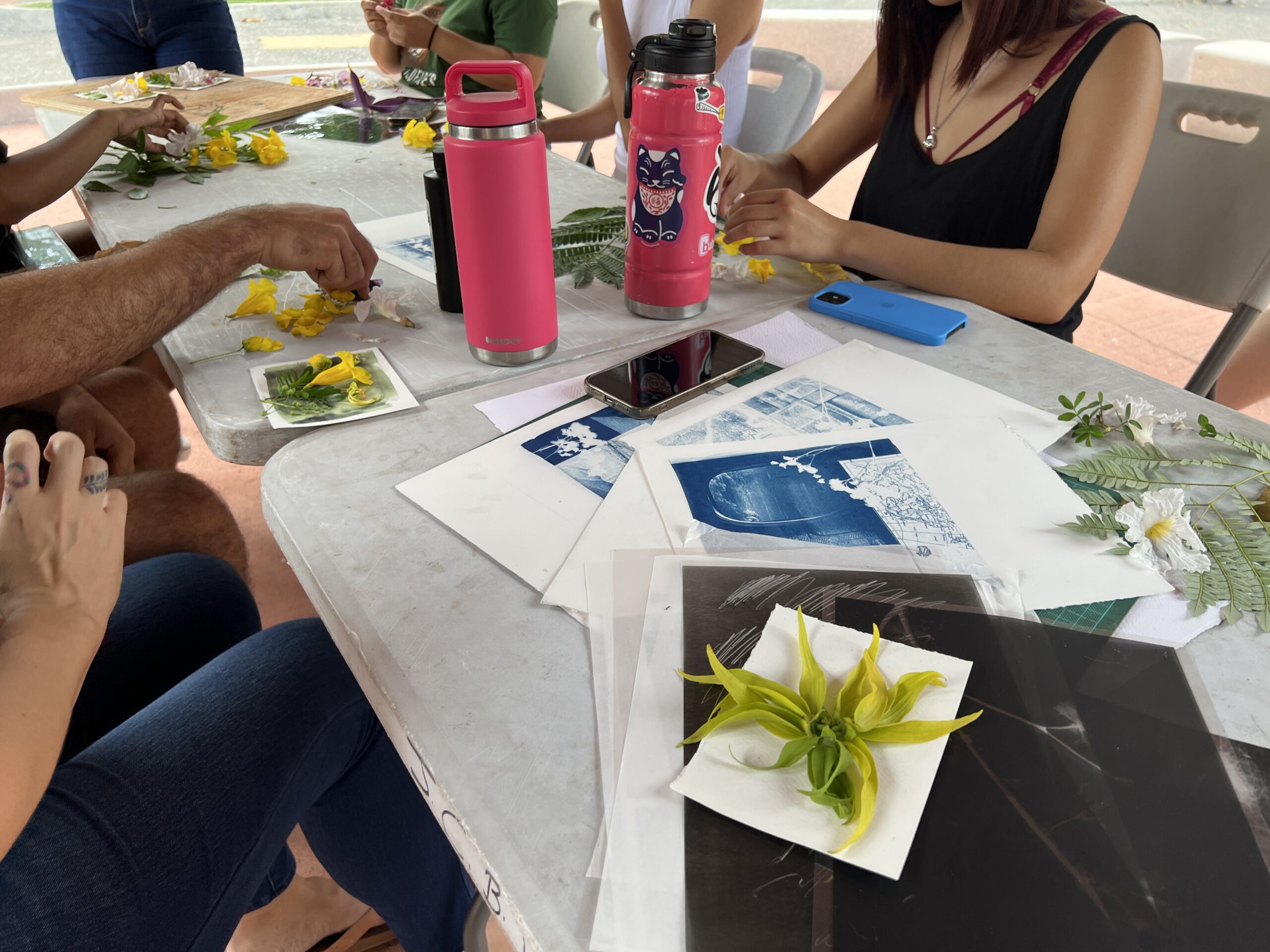 Taller de Cianotipia Botánica con Milko Delgado - Marzo 2023