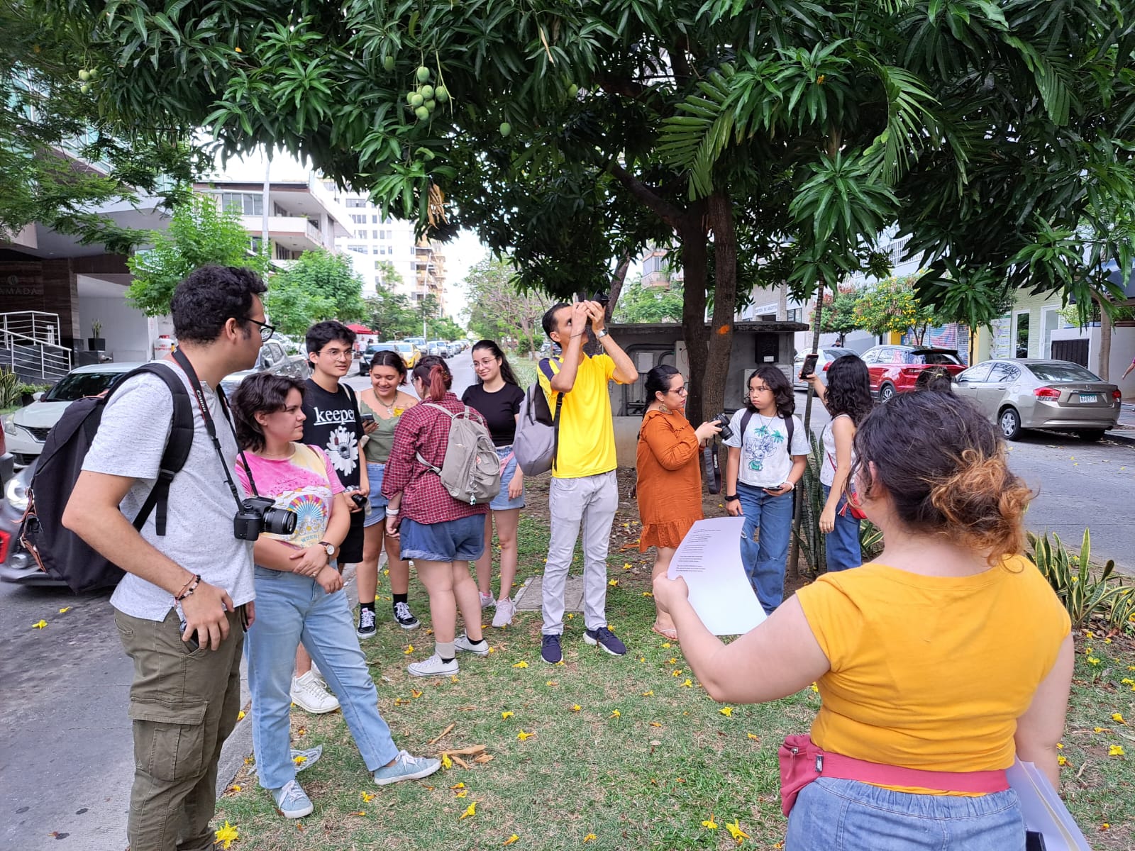 Imagen de la Caminata Fotografica para conocer los guayacanes de Via Argentina